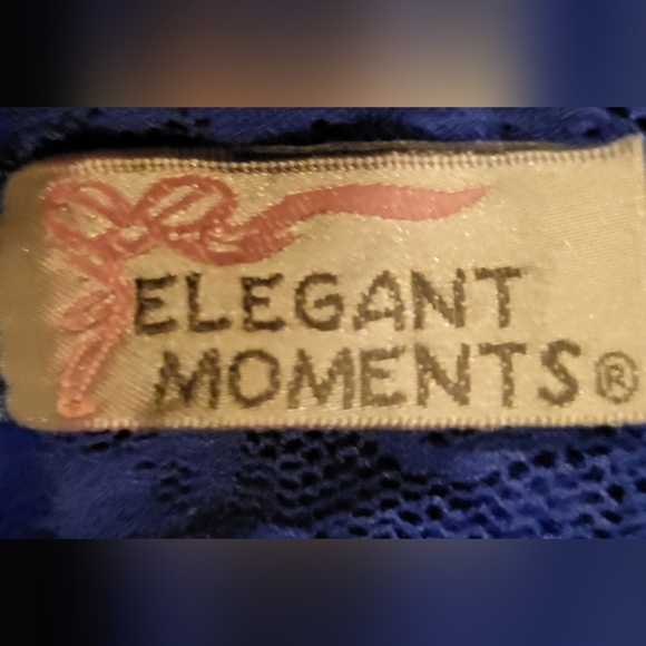 NEW BLUE NYLON QUEEN SIZE ELEGANT MOMENTS MATCHING GARDER & PANTIE SET!☆3FOR$25☆ - Picture 4 of 8